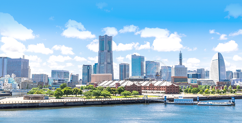 橋本法律事務所